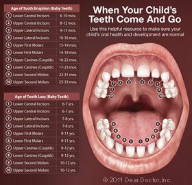 loss of deciduous teeth in children and early puberty